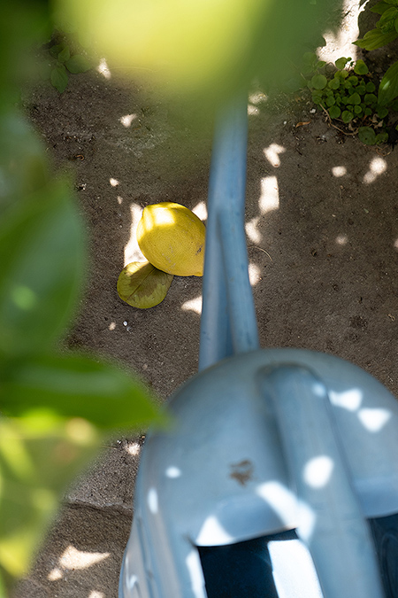 Gießkanne und Zitrone auf dem Boden Italien - Janet Große Fotografin