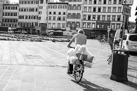 Radfahrer mit 2 Hunden auf dem Gepäckträger Italien - Janet Große Fotografin