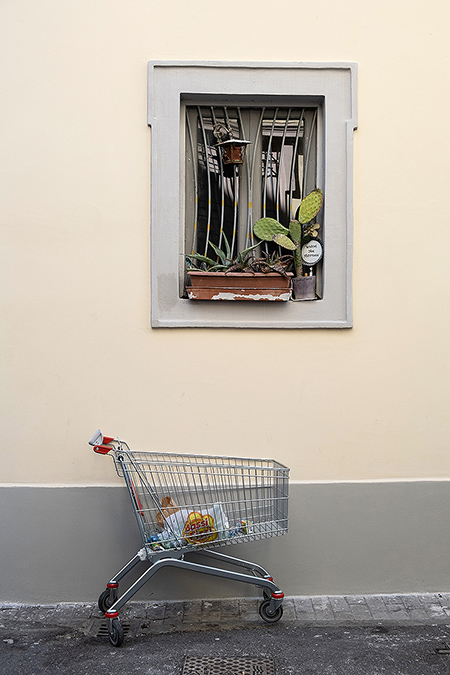 Einkaufswagen unter Fenster mit Kakteen Italien - Janet Große Fotografin