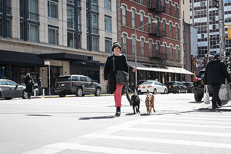 Frau mit 2 Hunden überquert Strasse in New York - Janet Große Fotografin Streetphotography